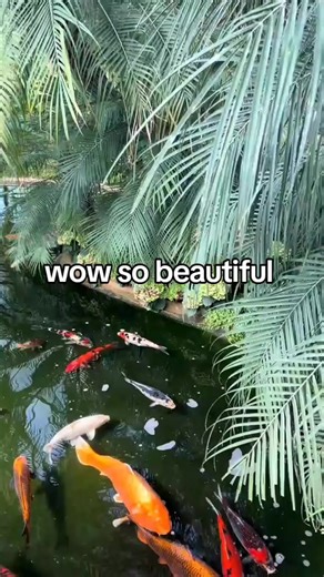 hello everyone thanks you so much for your support #love #Anna follow me for more fyp