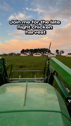 Late Night Chicken Harvest Watch what really happens on chicken harvest night. Four families work together after dark to gather 2,000 pasture-raised birds headed to the butcher. This is the real work that puts food on your table - no filters, no glamour, just honest farming. #grassrootscoop #meatwithintention #eatwithintention #farmers #ranchers #regenerativefarming #regenerativeagriculture #farmlife #knowyourfarmer #organicfarming #livingsoil #smallfarm #agriculture #farmtotable #pastureraised 