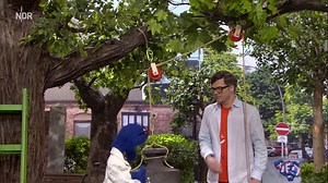 9.7K views · 398 reactions | Berufsberatung mit Grobi: Heute ist er Wissenschaftler. Grobi in vielen verschiedenen Berufen findet ihr auch in der ARD Mediathek: https://www.ardmediathek.de/sesamstrasse #berufsorientierung #wissenschaft #NDR | Sesamstraße | Facebook