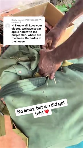 All-Natural Soap Making at the Factory by the Sea