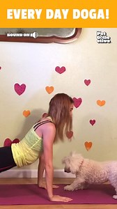 When your dog moonlights as your personal trainer! 🧘🐕 | The Pet Collective