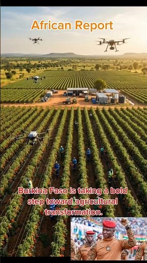 Inside Burkina Faso’s Modern Tomato Empire: From Farm to Factory Transformation 🍅🇧🇫