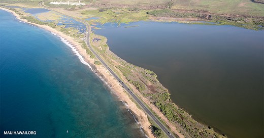 Kealia Pond National Wildlife Refuge with Birdwatching