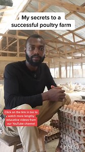 247K views · 5.4K reactions | This is what to do if you want to gave a successful and profitable Poultry farm. #poultry #poultryfarming livestock #semanhyiafarms #farminginafrica #agriculture | Farming In Africa | Facebook