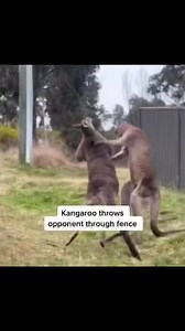 79K views · 2.6K reactions | Brian Anderson on Reels | Facebook