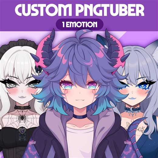 Custom Pngtuber Model - 1 Expression | Pngtuber Commission | Custom PNG Tuber | Vtuber Model | Giftuber | Discord Reactive | Twitch Avatar - Etsy