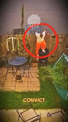 The homeowner saw what the police missed... Police Catch Secret 🚔🏠 #shorts