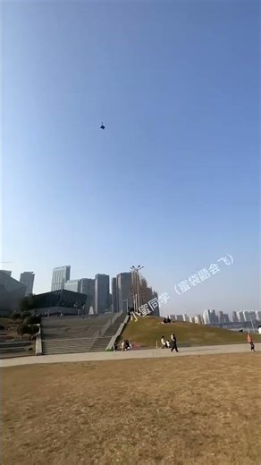 “I Can Fly Too!” Says the Determined Flying Squirrel 🐿️✨ #CutePets #FlyingSquirrel #Inspiration