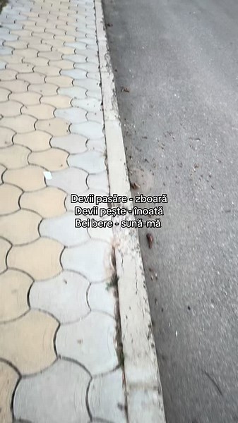 Miller☘️ (@miller_orig)’s videos with original sound - Zach