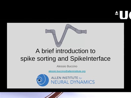 2023 1 07 Introduction to spike sorting and SpikeInterface (Buccino)
