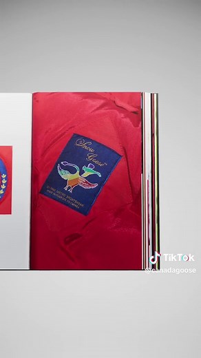 Introducing the Symbol of Speed and Freedom: Snow Goose by Canada Goose