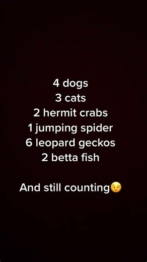18 a lot and I plan on breeding my geckos next year once they have... #shorts #Shorts #siberwolf26