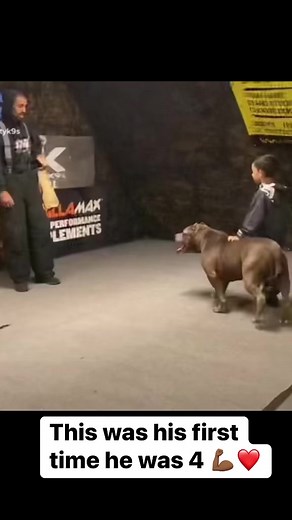 4.2M views · 10K reactions | This was his first time working with Kobe big dog little boy he was only 4 ❤️ #reels #facebookreels #dogtrainer | Marlon Grennan | Facebook