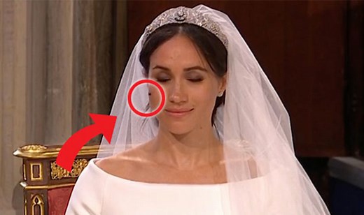 Meghan Markle hit in face by FLY during Royal Wedding ceremony