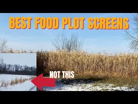 BEST FOOD PLOT SCREEN OPTIONS