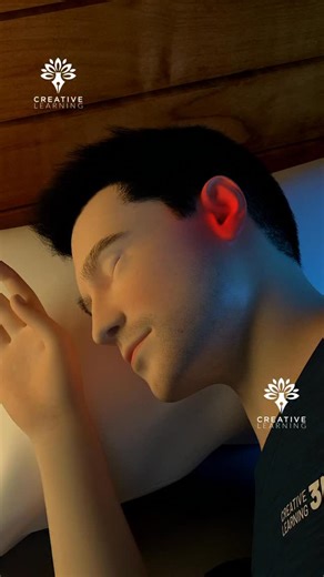 Why You Hear Your Heartbeat in Your Ear😮 explain Pulsatile Tinnitus #tinnitus #pulsatiletinnitus #humanbodyfacts #creativelearning3d #trendingreels #3danimation | Arifkhan3ds