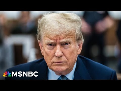 'Pathetic!': Pulitzer-winning historian calls Trump 'constitutionally illiterate'