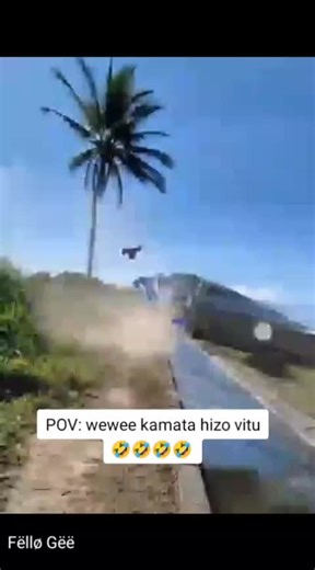 🤣🤣🤣🤣🤣🤣
