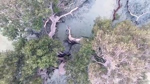 3.5K views · 59 reactions | The beautiful nature of Marsa Alam Experience the magic of Egypt where it all begins (y) www.facebook.com/friendsofegyptsupporttourismtoegypt | Friends of Egypt support tourism to Egypt | Facebook