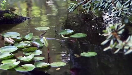 The Book of Genesis | movie | 2016 | Official Trailer