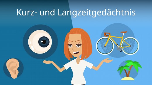 Langzeitgedächtnis • einfach erklärt: Einteilung