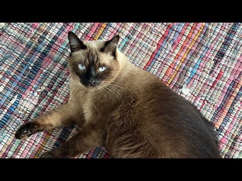 251019 NCT WayV TEN KUN weibo live 엔시티 威神V 텐 쿤 웨이보 라이브 "好久不见^ω^"