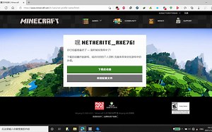 购买 Minecraft Java 165元