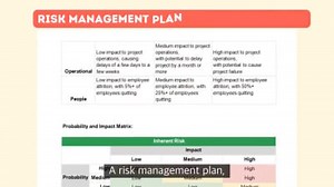 Professional Project Management analysis and documentation for all projects