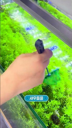 [💜유쥬VLOG💜] 어서오세요 🙇‍♂️ 오늘의 식사는 이끼입니다 #shorts