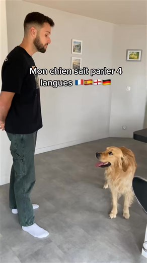 Il comprend plus le langage humain que son propre humain 😅 | pumba thelion