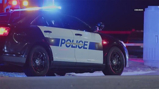 Teenager killed in Panorama Park shooting, suspect in custody