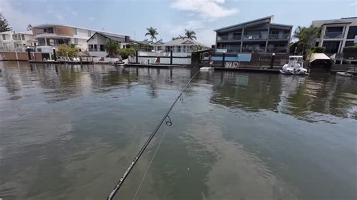 The bream still swam away after that ordeal. I think decent jew, grabbed the bream then ran off with it. Then brought it back and spat it🤣 Every day this week much the same, not a lot of whiting but good quality, and heaps of grunter, bream, tarwhine and more. Still very busy with charters looking ahead. Only seven days still available between now and December, Cheers Clint www.goldcoastrivercharters.com | Gold Coast River Fishing Charters