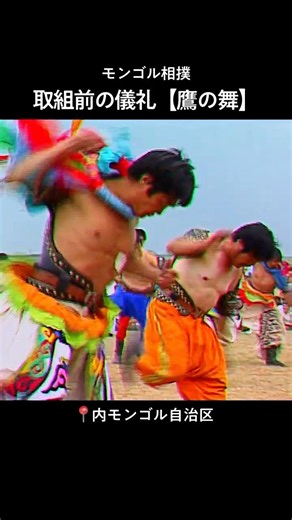 取組前の儀礼【鷹の舞】🦅 #モンゴル相撲 #shorts #相撲 #sumo