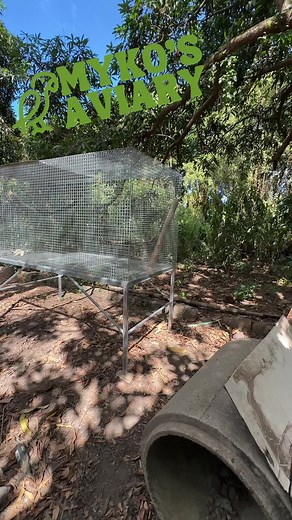 21K views · 113 reactions | 4ft x 4ft x 8ft simple breeding cage for big birds. | Myko's Aviary | Facebook