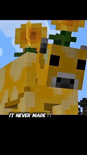 secret cow in Minecraft!