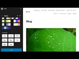WordPress Twenty Twenty-Five Theme Typography