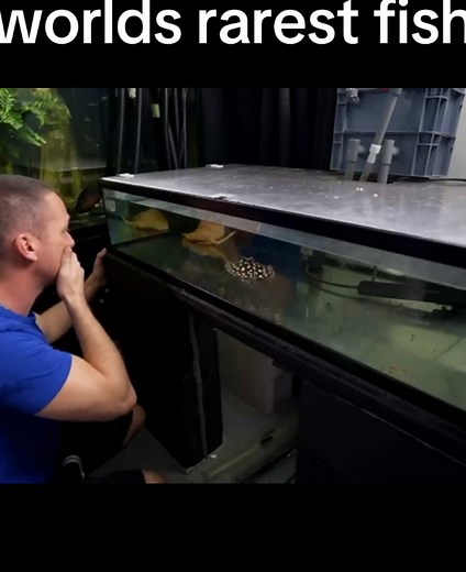 Unboxing the World's Rarest Fish: A Unique Experience