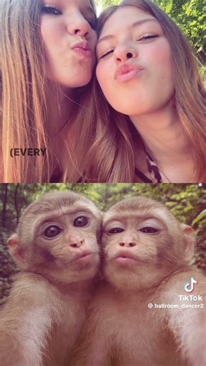 C trop mims 🥰 #repost #humour #foryou