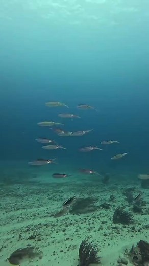 #fishing | Fishermans page