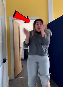 1.5M views · 8.8K reactions | Screams of Shock廊 | Ray's Funny Page | Facebook