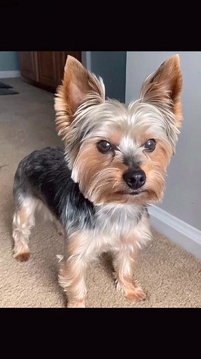 Rafael Contreras Medina on Reels | Facebook