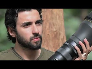 Iconic wildlife videography captured on Nikon Z f