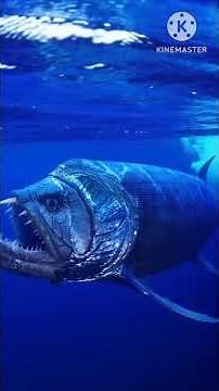 This Fish Sees Using Electricity