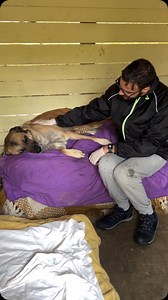 Milo, 5 anni, era stato legato al cancello del canile dai suoi “umani”. Il canile lo aveva dichiarato un cane “aggressivo”. Anna e Manuela sono andate a prenderlo e lo hanno portato al nostro rifugio. E indovinate un po’? Questo è Milo, il cane “cattivo”. Sono bastate un po’ di coccole, l’amore. Milo aveva solo bisogno di conoscere qualcosa oltre la sua paura, e scoprire che no, non c’è pericolo da cui deve difendersi. La sua armatura si è sciolta e questo è lui ora 💙 venire a prenderlo, dategl