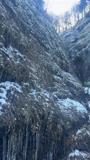 Jeff Hughes on Reels