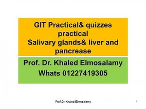GIT histology GIT Practical& quizzes practicalSalivary glands& liver and pancrease= histology