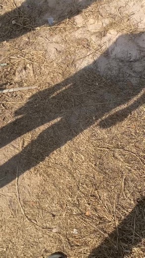 Day nis Boy2 Pro MK - A Fun Musical Experience