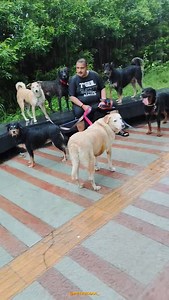 60K views · 6.1K reactions | The voice is PETPEDIAA. The work you see...