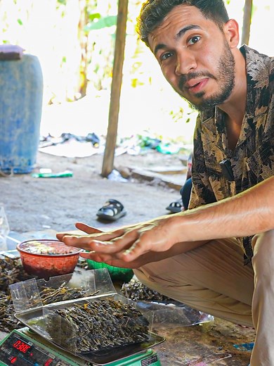 Araya Vlogs on TikTok