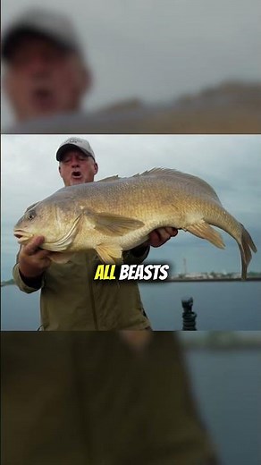 Larry hooks into a freshwater beast! #fishing #bigfish #drum